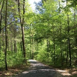 Meet your Posher, Debra