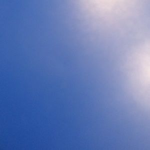 Meet your Posher, Gavin