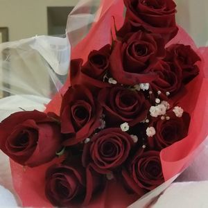 Meet your Posher, Carol