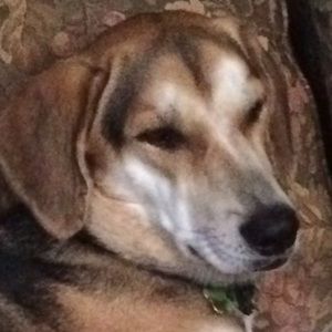 Meet your Posher, Caitlin