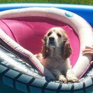 Meet your Posher, Laura