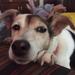 Meet your Posher, Shelly