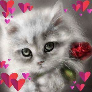 Meet your Posher, Betty