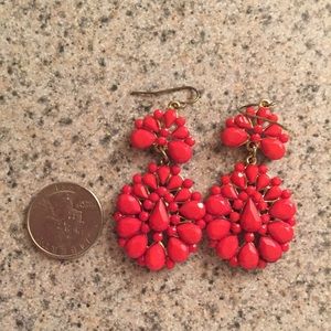 Coral Decorative Earrings