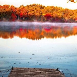 Meet your Posher, Rebeca