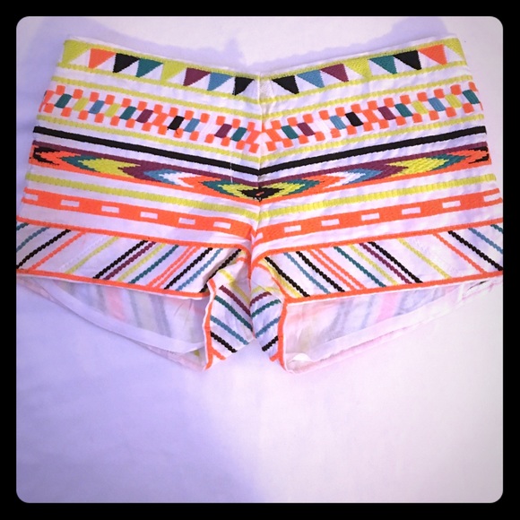 Multi colored embroidered shorts