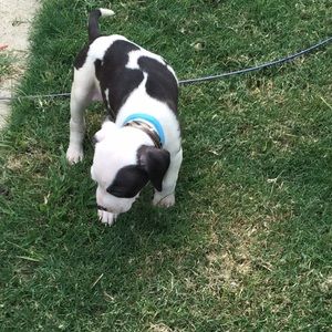 Meet your Posher, Camden