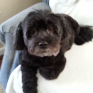 Meet your Posher, Debbie