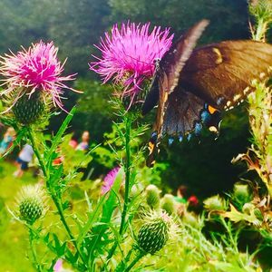 Meet your Posher, Cynthia