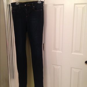 Joe's jeans 'The Skinny'