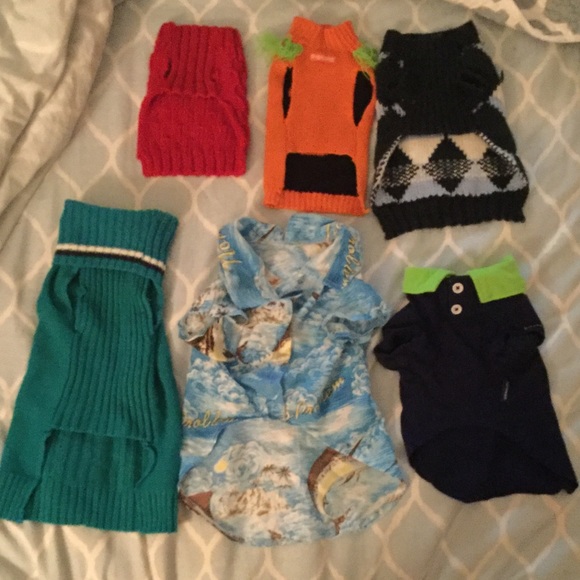 Doggies Clothes