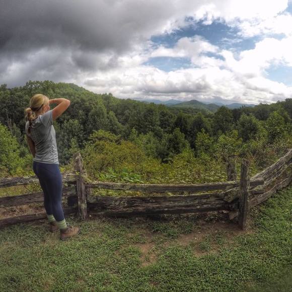 Meet your Posher, Harley - Picture 1 of 1