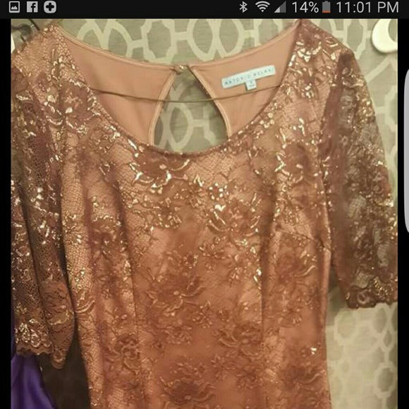 Antonio Melanie lace dress