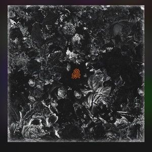 Meet your Posher, Seth