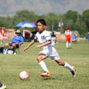 Meet your Posher, Arlene