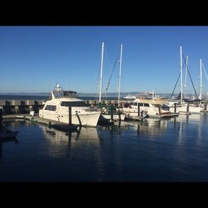 Meet your Posher, Patty