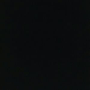 Meet your Posher, Elsa