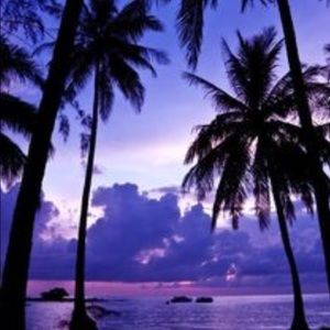 Meet your Posher, Kira