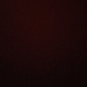 Meet your Posher, Ernesto