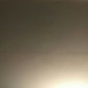 Meet your Posher, Richard