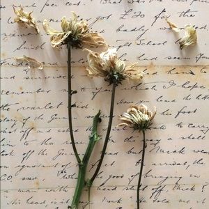 Meet your Posher, Carmen