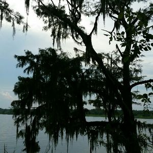 Meet your Posher, Terri