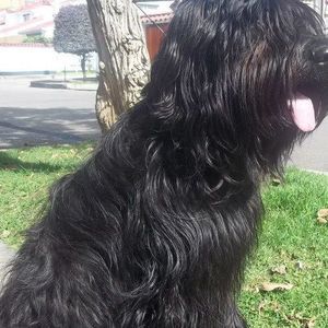 Meet your Posher, Adriana