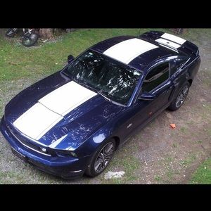 Meet your Posher, Steve