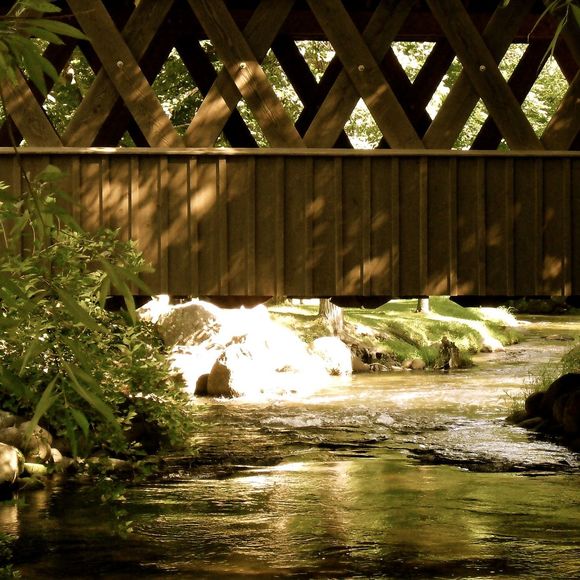 Meet your Posher, Peg