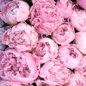 Meet your Posher, Carlos