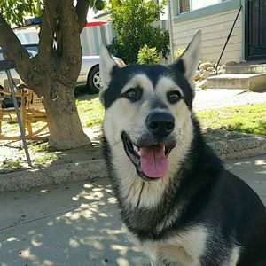 Meet your Posher, Ericka