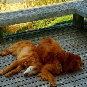 Meet your Posher, Kristie