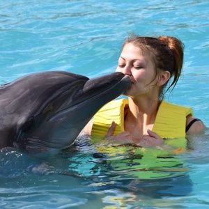 anthropologie BEBE Current Elliot Just Fab Lauren