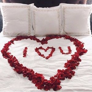 Meet your Posher, Tabitha