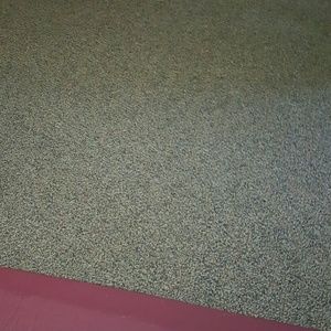 Meet your Posher, Tasha