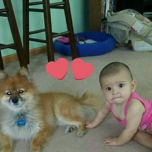 Meet your Posher, Evan