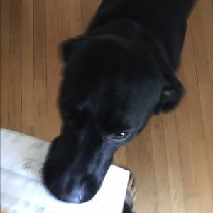 Meet your Posher, Sheila