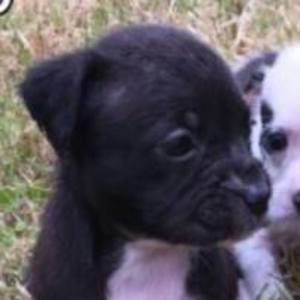 Meet your Posher, Sandy