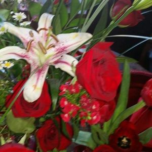 Meet your Posher, Estela