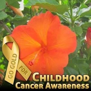 Meet your Posher, Theresa rose