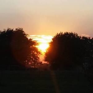 Meet your Posher, Peggy