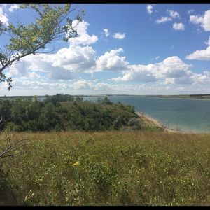 Meet your Posher, Lacey