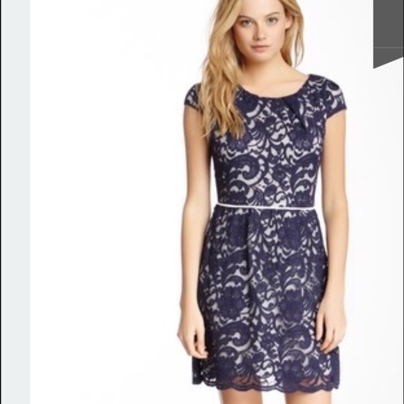 NWT Short Sleeve Navy Blue Lace Dress