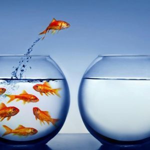 Meet your Posher, Rodolfo