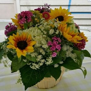 Meet your Posher, Katherine