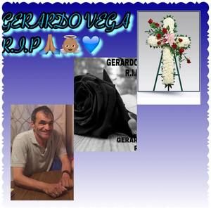 Meet your Posher, Abigail