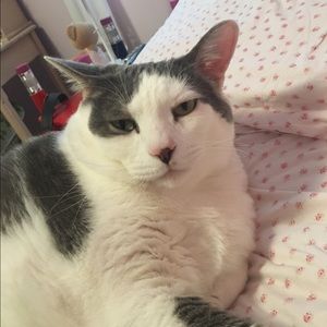 Meet your Posher, Bethany