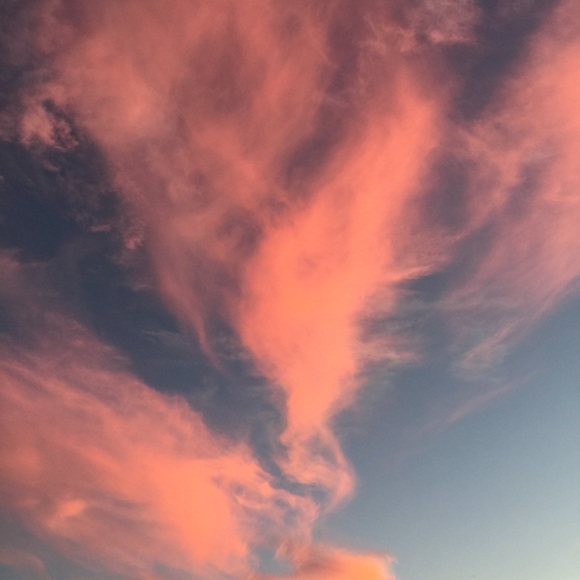 Meet your Posher, TeeMe - Picture 2 of 3