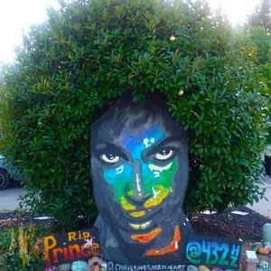 Meet your Posher, Bridget