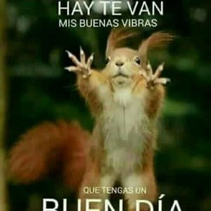 Meet your Posher, Mayra